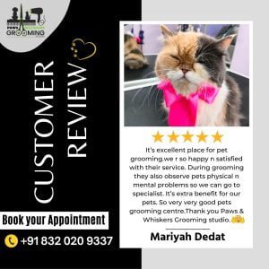 Customer Review post | Pet grooming services