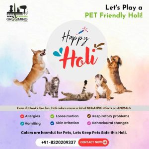 Happy Holi | Festival Graphics post design