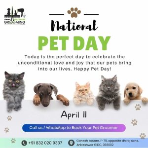 National Pet Day in India | Cat day | Dog day