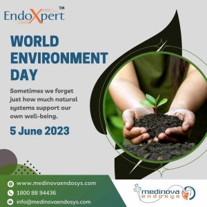 World Environment Day | Environment day with small plant