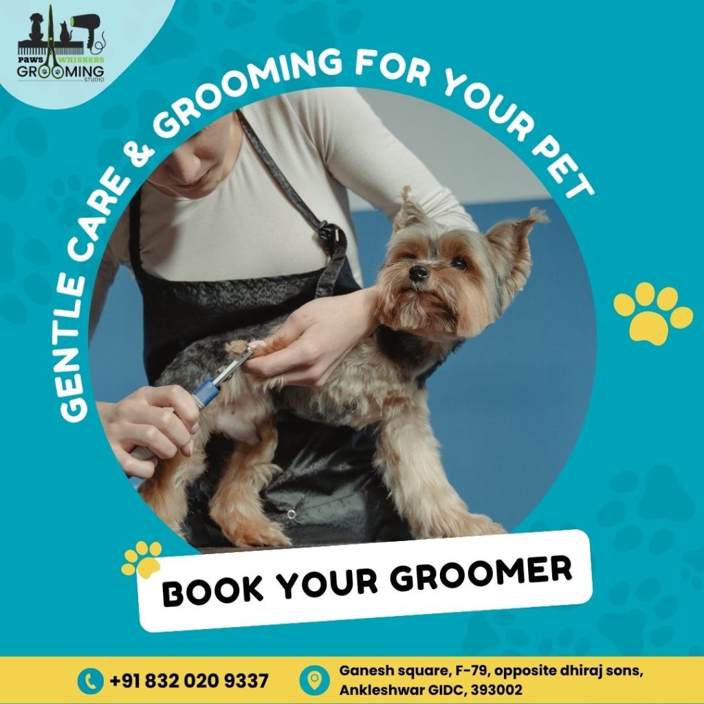 Pet care and grooming services | pet grooming salon online marketing | pet grooming salon website design