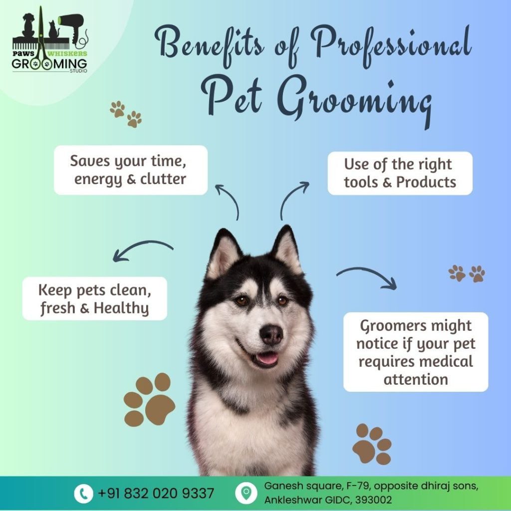 pet grooming services social media marketing