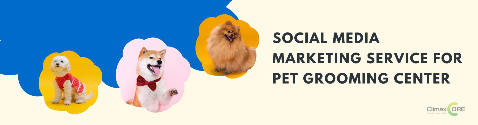 Social Media Makreting for Pet Grooming salon Social Media Marketing Service for Pet Grooming Center