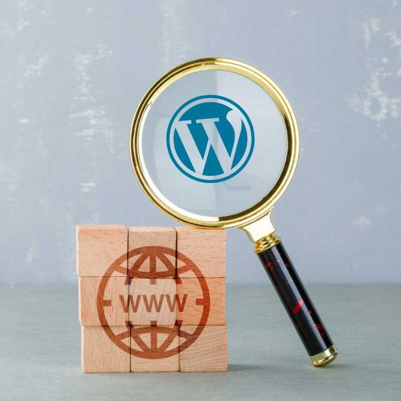 Why Should You Go with WordPress | Why WordPress CMS