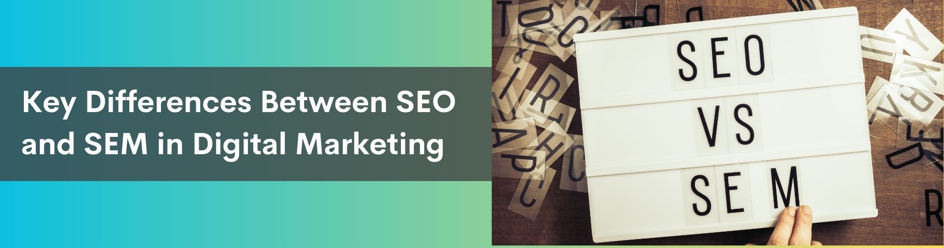 Key Differences Between SEO and SEM Differences Between SEO and SEM in Digital Marketing